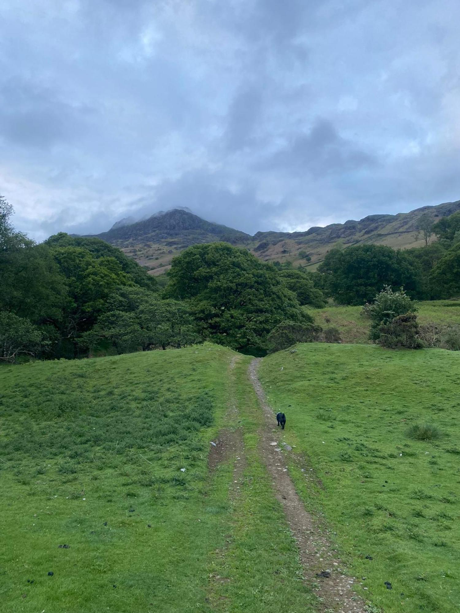 Cosy Glamping In The Eskdale Valley - Studio Lodges And Mega Pods ภายนอก รูปภาพ